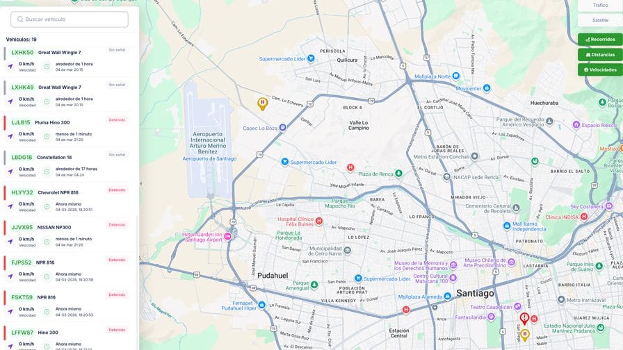 Araucaria Paisajismo