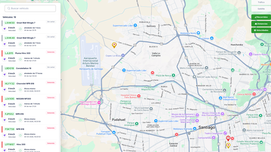 Araucaria Paisajismo